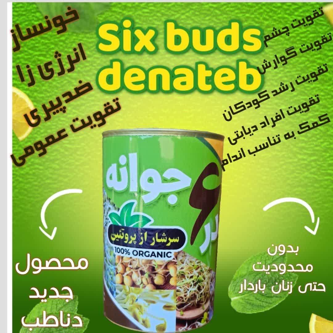 پودر تقویتی ۶ جوانه کیفیت عالی و خالص صددرصد گیاهی